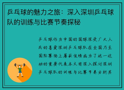 乒乓球的魅力之旅：深入深圳乒乓球队的训练与比赛节奏探秘