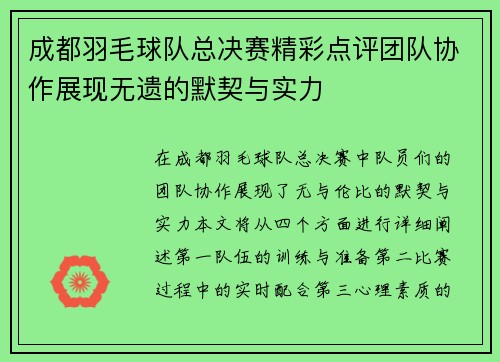 成都羽毛球队总决赛精彩点评团队协作展现无遗的默契与实力