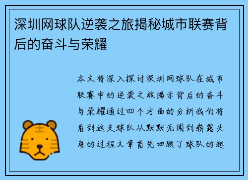深圳网球队逆袭之旅揭秘城市联赛背后的奋斗与荣耀